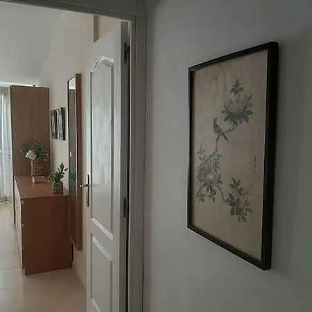 Frente A La Playa.solo Cruzar La Calle